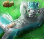  absurd_res anthro azmut blue_body brand_new_animal canid canine canis digital_media_(artwork) genitals hi_res male mammal penis rock shirou_ogami solo studio_trigger wolf 