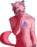  alleyballey alpha_channel anthro canid canine canis claws claws_out erection genitals male mammal multi_nipple nipples penis piercing posed raised_tail shephard_(alleyballey) solo tongue tongue_out wolf 
