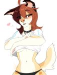 2021 5_fingers anthro breasts brown_eyes brown_hair canid canine canis clothed clothing collar digital_media_(artwork) domestic_dog eyebrows eyelashes female fingers hair mammal midriff navel solo wolflady 