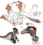  aedea avian balaur_bondoc dinosaur dromaeosaurid duo feathered_dinosaur feathers female female_(lore) feral grey_body grey_feathers hi_res multiple_char orange_body orange_feathers qivne reptile scalie size_difference sketch theropod utahraptor white_body white_feathers wings young yvaeith 