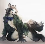  2021 anthro balls black_body black_fur blue_eyes bottomless bottomless_anthro bottomless_male canid canine canis clothed clothing countershading domestic_dog fur genitals green_clothing green_topwear hi_res kemono kiyosan male mammal open_clothing open_topwear solo topwear white_body white_countershading 