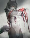  2021 anthro bandaged_arm blood bodily_fluids canid canine canis chest_scar countershading crotch_tuft fur grey_body grey_fur hi_res kemono kiyosan male mammal red_eyes scar solo tuft white_body white_countershading wolf wounded 