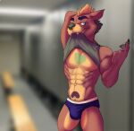  2019 4_fingers abs anthro beckoning belly belly_markings big_biceps big_deltoids big_muscles big_pecs biting_clothing biting_shirt black_claws blue_briefs blue_eyebrows blue_eyes blue_pupils blurred_background bristol brown_arms brown_belly brown_body brown_ears brown_face brown_fingers brown_fur brown_hands brown_inner_ear brown_legs brown_markings brown_neck canid canine cheek_tuft chest_markings claws clothed clothed_anthro clothed_male clothing colored digital_drawing_(artwork) digital_media_(artwork) ear_tuft eyebrows facial_tuft fingers flirting flirting_with_viewer fur gesture green_body green_chest green_clothing green_fur green_markings green_nose green_pawpads green_shirt green_tank_top green_topwear half-closed_eyes happy head_tuft looking_at_viewer male male_anthro mammal markings motion_lines multicolored_belly multicolored_body multicolored_fur muscular muscular_anthro muscular_male narrowed_eyes navel obliques open_mouth open_smile pawpads pecs portrait pupils quads raised_clothing raised_shirt raised_topwear serratus shaded sharp_teeth shirt small_ears smile smiling_at_viewer solo standing tan_belly tan_body tan_chest tan_face tan_fur tan_legs tank_top teeth three-quarter_portrait three-quarter_view topwear tuft two_tone_belly two_tone_briefs two_tone_chest two_tone_face two_tone_legs white_briefs 
