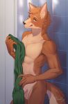  anthro balls brown_body brown_fur canid canine canis cheek_tuft claws countershade_torso countershading domestic_dog erection erection_under_towel facial_tuft finger_claws fur genitals green_towel head_tuft hi_res husdingo inner_ear_fluff inside looking_at_viewer male mammal nude penis shaded signature solo tile tile_wall tongue tongue_out towel tuft wall_(structure) yellow_eyes 