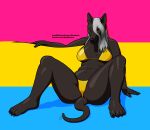  4_toes 5_fingers absurd_res alcadera anthro bikini black_body black_nose breasts camel_toe canid canine canis claws clothing domestic_dog feet female fingernails fingers flag_background glistening glistening_body grey_hair hair hair_over_face hairless hairless_dog hi_res holding_background lgbt_pride long_hair looking_at_viewer mammal motion_lines nails navel pansexual_pride_colors plantigrade pride_colors primitive_dog sitting slightly_chubby smile smirk snout solo spread_legs spreading swimwear tail_between_buttocks thick_tail toe_claws toes xoloitzcuintli yellow_bikini yellow_clothing yellow_eyes yellow_swimwear 