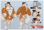  5_fingers 5_toes abs absurd_res anthro back_muscles ball_tuft balls big_muscles black_nose butt dusk_lycanroc feet fingers fur genitals green_eyes hi_res huge_muscles humanoid_feet humanoid_hands lycanroc male mane model_sheet multicolored_body muscular nintendo nipples pecs penis pok&eacute;mon pok&eacute;mon_(species) rocky_(jakewolf00) solo taighet_28 tattoo toes tuft video_games white_body white_fur yellow_body yellow_fur 