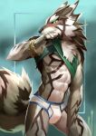  2021 abs absurd_res anthro blush bracelet bulge canid canine canis claws clothed clothing clothing_lift digital_media_(artwork) embarrassed finger_claws fluffy fluffy_tail fur green_eyes hair hi_res jackal jewelry lifewonders male mammal markings muscular muscular_anthro muscular_male navel reveal seth_(tas) shaded shirt shirt_lift solo spiky_hair t.y.stars tokyo_afterschool_summoners topwear tuft underwear video_games 