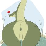 &lt;3 1:1 2017 anthro anus big_butt biped butt butt_focus crocodile crocodilian crocodylid female genitals girokett grass green_anus green_body green_butt green_pussy green_scales green_tail hi_res huge_butt looking_at_viewer looking_back looking_back_at_viewer nude plant pussy raised_tail rear_view reptile scales scalie sharp_teeth smaller_version_at_source smile solo teeth water yellow_sclera 