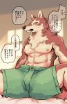  abs alternate_version_at_source anthro blush bodily_fluids bottomwear brown_body brown_fur bulge canid canine canis cheek_tuft chest_tuft clothed clothing dialogue facial_tuft fangs fur green_bottomwear green_clothing green_shorts hi_res inner_ear_fluff japanese_text kemono looking_at_viewer male mammal nipples no18_ohaco orange_eyes shaded shorts solo speech_bubble spread_legs spreading sweat text topless topless_anthro topless_male translation_check translation_request tuft wolf 