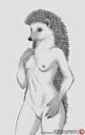  2021 5_fingers anisis anthro areola breasts digital_media_(artwork) eulipotyphlan female fingers hedgehog hi_res mammal nipples nude smile text url 