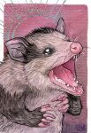  ambiguous_gender black_eyes didelphid feral fur grey_body grey_fur lisk-art mammal marsupial open_mouth painting_(artwork) pink_nose sharp_teeth solo teeth tongue traditional_media_(artwork) watercolor_(artwork) whiskers 