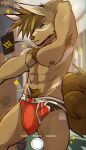  abs akita anthro armpit_hair body_hair bulge camera camera_phone camera_view canid canine canis clothing clothing_aside domestic_dog fur hi_res locker_room male mammal midnight_blue muscular muscular_anthro pose solo spitz underwear underwear_aside 