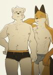  2021 anthro black_clothing black_underwear bulge canid canine chest_tuft clothing countershading duo facial_scar fox fur fuyuki_yamamoto_(odd_taxi) grey_clothing grey_underwear hi_res kemono looking_at_viewer male mammal milkytiger1145 navel nipples odd_taxi orange_body orange_fur polar_bear scar sekiguchi_(odd_taxi) tuft underwear ursid ursine white_body white_countershading white_fur 