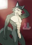  2021 5_fingers abs absurd_res anthro athletic athletic_anthro athletic_male balls beastars black_nose butt canid canine canis crotch_tuft deskmaniac fingers flaccid foreskin fur genitals grey_body grey_fur hand_behind_head hi_res humanoid_hands legoshi_(beastars) light male mammal nude pecs penis shower signature solo standing sunlight tuft window wolf 