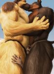  2021 5_fingers absurd_res anthro blue_background brown_body brown_fur detailed detailed_fur embrace eyes_closed fingers fur group group_sex hi_res hug humanoid_hands kissing male manwiched mtfoxx pinned sandwiched sex simple_background size_difference smothering tan_body tan_fur threesome 