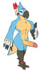  anthro avian balls big_penis blue_body breath_of_the_wild erection feathers genitals hi_res humanoid_genitalia humanoid_penis kass_(tloz) looking_at_viewer male muscular muscular_male nintendo penis rito simple_background solo tan_body the_legend_of_zelda video_games whike 