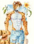 akatan_art anthro beach bottomwear bulge cheetah clothing felid feline hi_res male mammal seaside shorts solo summer 