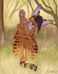  anus butt candyfoxy claws_out digital_media_(artwork) feet felid feline female feral foot_focus fur genitals hi_res holding_(disambiguation) humanoid_genitalia kestrel_(sylvertears) legs_up mammal pantherine pawpads paws pinup pose presenting presenting_hindquarters presenting_pussy pussy serval shaded smile smiling_at_viewer solo solo_focus spots spotted_body spotted_fur striped_body striped_fur stripes 