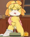  animal_crossing anthro bigmi_nono breasts canid canine female improvised_dildo improvised_sex_toy isabelle_(animal_crossing) mammal nintendo sex_toy vaginal video_games 