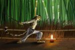  2016 3:2 5_fingers anthro bamboo bamboo_fence bamboo_structure bamboo_tree biped cheetah clothed clothing digital_media_(artwork) felid feline fence fingers forest fur hi_res japanese_sword katana king_cheetah lamp lantern male mammal melee_weapon paper_lantern plant solo swish sword topless tree weapon 
