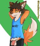  anthro balls big_balls big_penis bodily_fluids boxers_(clothing) canid canine clothing conditional_dnp dipstick_tail flaccid fox genitals male mammal markings musk orenji_salmonpaw penis pubes red_fox shirt solo sweat tail_markings tank_top topwear underwear villalobossand1 