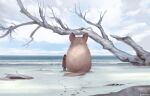  ambiguous_gender arizuka beach branch brown_body brown_fur chinchilla chinchillid clothed clothing duo feral footprint fur human larger_feral mammal pawprint quadruped rear_view red_clothing rodent sand seaside size_difference sky smaller_human water watermark 