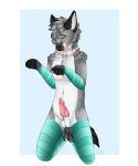 anthro balls begging begging_pose canid canine canis clothing collar digital_media_(artwork) erection fur genitals girly hi_res knot legwear male mammal nude penis pose samuelwolfo simple_background solo stockings tongue wolf 