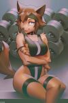  2021 anthro blue_eyes breasts brown_body brown_fur clothed clothing dumbbell female fur japanese_kobold leotard looking_at_viewer mammal miles_df monster_girl_(genre) monster_musume polt_(monster_musume) solo weights 