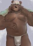  anthro asian_clothing belly brown_body brown_fur bulge clothing east_asian_clothing fundoshi fur genital_outline goro_(live-a-hero) japanese_clothing lifewonders live-a-hero male mammal musclegut nipples pecs penis_outline salz_sop solo towel underwear ursid video_games 