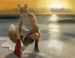  animal_genitalia animal_penis anthro balls beach canid canine clothing crouching djano erection fox genitals hi_res holding_clothing holding_object knot looking_at_viewer male mammal nipples nude penis public public_nudity sea seaside skinny_dipping smile solo sunset swimwear water 