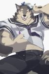 anthro brown_body brown_fur canid canine canis clothed clothing clothing_lift domestic_dog fur hi_res jewelry l0sskim lifewonders live-a-hero male mammal midriff muscular muscular_anthro muscular_male necklace pubraseer sailor_hat sailor_uniform shirt shirt_lift solo topwear video_games 