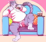  anthro balls barazoku beverage bottomless bubble_tea chair clothed clothing felid fur furniture genitals grey_body grey_fur hi_res hoodie justin_(disambiguation) male mammal overweight overweight_anthro overweight_male pantherine penis seintaur solo spread_legs spreading tiger topwear white_clothing white_hoodie white_topwear 