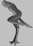  2021 3_toes ambiguous_gender anthro avian beak biped bird claws digital_media_(artwork) feathers feet grey_background greyscale hi_res looking_away monochrome monster napalm_express owl side_view simple_background solo standing tail_feathers talons toes 