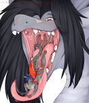 blue_hair bodily_fluids dorogato dragon duo feral hair hi_res ingestion male male/male miphassl mouth_play open_mouth saliva tongue tongue_out vore voreception 