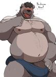  2021 anthro belly black_nose blush bulge clothing genitals grey_body hi_res humanoid_hands male mammal moobs navel nipples overweight overweight_male penis simple_background solo underwear ursid vitashi white_background 