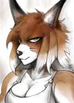  2021 anthro breasts canid canine cleavage clothed clothing collarbone dora_systeel feda:_the_emblem_of_justice female fox fur gouman hi_res looking_at_viewer mammal solo topwear white_body white_breasts white_fur 