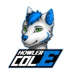  1:1 alpha_channel anthro avoxion black_background blue_body blue_fur blue_hair blue_inner_ear blue_inner_ear_fluff blue_nose canid canine cheek_tuft cole_howler evafolf facial_tuft fox fur glistening glistening_eyes green_eyes hair headshot_portrait icon initial_d inner_ear_fluff looking_at_viewer male mammal portrait simple_background solo teeth tuft white_body white_fur 