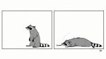  16:9 ambiguous_gender falling feral greyscale mammal monochrome procyonid raccoon simple_background skia solo white_background widescreen 