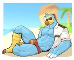  2021 abs animal_crossing anthro avian beak big_bulge big_muscles bird blurred_background border building bulge clothed clothing columbid day dodo eyewear feathers hi_res house island jrjresq looking_at_viewer lying male muscular muscular_anthro muscular_male navel nintendo on_side open_clothing open_shirt open_topwear outside palm_tree pecs plant sand shirt solo sunglasses talons thong topwear tree underwear video_games water white_border wilbur_(animal_crossing) 