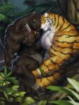  abs anthro black_body black_fur collar duo eye_contact felid fur hi_res jungle looking_at_another male mammal melanistic muscular muscular_anthro muscular_male nipples panthera pantherine pecs raccoon21 sitting sitting_on_person size_difference spread_legs spreading stripes tiger veiny_muscles white_body white_fur wristband 