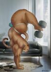  4_toes 5_fingers abs anthro biceps big_bulge big_butt big_muscles bulge butt clothed clothing day detailed_background digital_media_(artwork) dumbbell exercise feet felid fingers fur furniture handstand hi_res holding_dumbbell holding_object_with_feet huge_muscles huge_thighs hybrid inside jockstrap jockstrap_only liger lion mainlion male mammal muscular muscular_anthro muscular_male muscular_thighs pantherine pecs plant purrcules_(character) quads rug sofa solo striped_body striped_fur stripes tan_body tan_fur thick_thighs toes underwear underwear_only weights window workout 