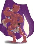  absurd_res alpha_channel anonymous_artist anthro balls butt butt_tattoo canid canine clothing curtains five_nights_at_freddy&#039;s flexing flexing_muscles fox foxy_(fnaf) genitals hi_res ineffective_clothing looking_back male mammal muscular saggy_balls simple_background solo tattoo tight_clothing underwear video_games 