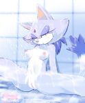  anthro arm_support blaze_the_cat blueseamoon bodily_fluids breasts domestic_cat felid feline felis female fur genital_fluids genitals half-closed_eyes hi_res inside mammal narrowed_eyes nipples nude purple_body purple_fur pussy pussy_juice sega shower sitting soap solo solo_focus sonic_the_hedgehog_(series) water wet white_body white_fur yellow_eyes 