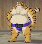  2021 anthro asian_clothing belly big_belly clothing east_asian_clothing felid japanese_clothing kemono male mammal mawashi moobs navel nipples obese obese_male overweight overweight_male pantherine solo sumo sumo_ring tiger tiger_cub 