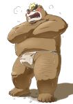  2021 anthro ashigara asian_clothing belly blush bodily_fluids brown_body bulge clothing east_asian_clothing fundoshi hi_res hon55728 japanese_clothing kemono lifewonders male mammal overweight overweight_male simple_background solo sweat tokyo_afterschool_summoners underwear ursid video_games white_background white_clothing white_fundoshi white_underwear 