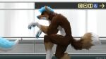  16:9 2020 anthro biped blue_eyes blue_hair blue_nose brown_body brown_fur canid canine canis detailed_background duo fur geewolf hair hi_res male mammal nude sneaking solo_focus white_body white_fur widescreen wolf 