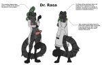  2021 ambiguous_gender anthro balls black_body black_fur breasts clothed clothing digital_media_(artwork) digitigrade dr._rasa_(ruaidri) duo english_text erection felid feral fur genitals grey_balls grey_body grey_fur gynomorph hi_res hoodie humanoid_genitalia humanoid_penis hypnolizard intersex lizard long_tail mammal melanistic mind_control model_sheet nipples pantherine partially_clothed paws penis pink_penis reptile ruaidri scalie simple_background standing story story_in_description text tiger topwear white_background 