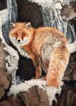  ambiguous_gender beckykidus black_lips black_nose canid canine feral fox fur graphite_(artwork) hi_res ice lips looking_at_viewer mammal orange_body orange_eyes orange_fur outside pencil_(artwork) realistic snow solo traditional_media_(artwork) whiskers 