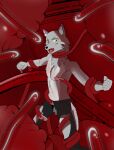  anthro bottomwear canid canine canis captured clothed clothing fan_character forced hi_res male mammal open_bottomwear open_clothing open_pants pants shirtless silverbunny solo tentacles tentacles_around_legs tentacles_everywhere wet wet_clothing wolf 