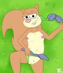  anthro brown_body brown_fur clothed clothing clothing_aside female fur grass hi_res high-angle_view lying lying_on_ground mammal nickelodeon on_back panties panties_aside plant rodent sandy_cheeks sciurid smug solo spongebob_squarepants teot topless tree_squirrel underwear underwear_aside 